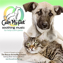 Soothing Pet Music Cd and Audio